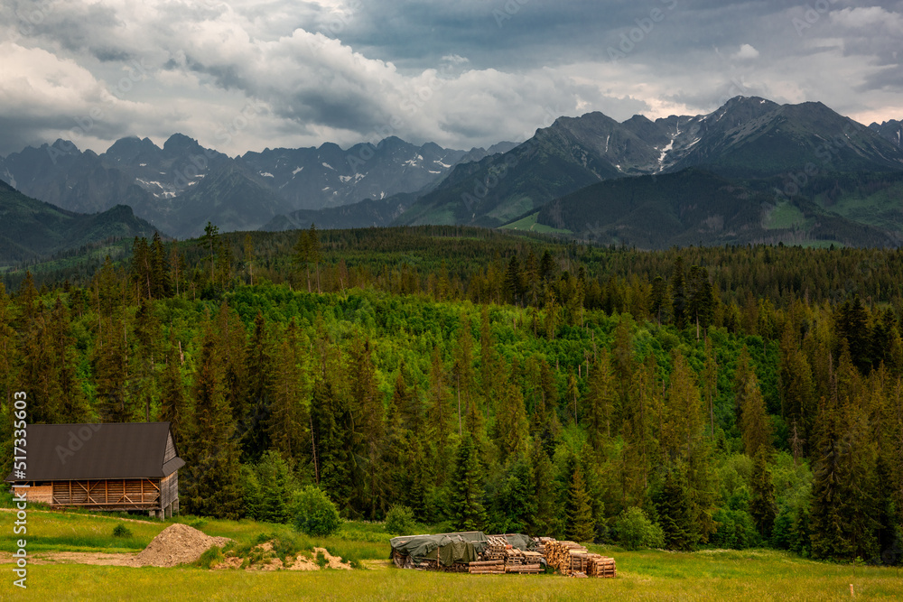 Tatra Mountains range in Poland. Alpine landscape and meadows