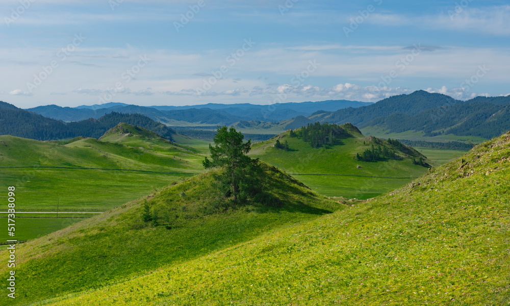 Russia. South of Western Siberia, Mountain Altai.  Picturesque hilly mountains covered with a solid green carpet with many alpine flowers near the village of Ust-Kan.