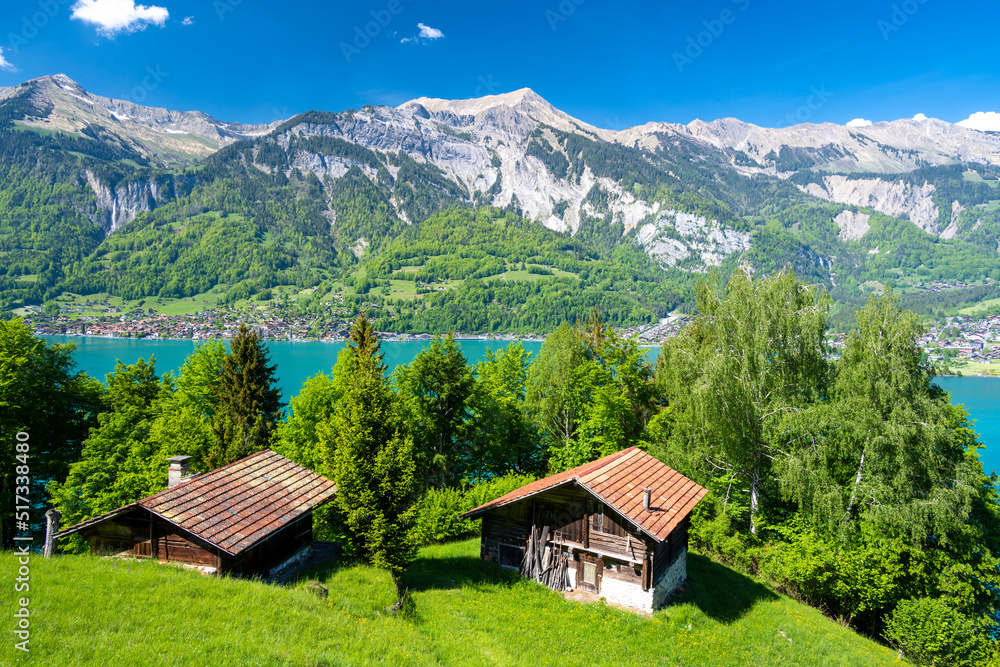 view on Lake Brienz with green meadow and huts in Switzerland