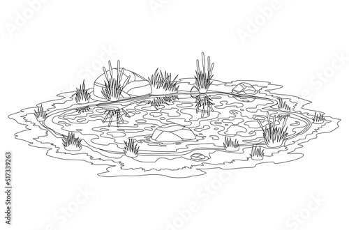 Coloring of picturesque natural pond. Water pond with reeds and stones. Concept of outdoor scene in sketch style. Open small swamp lake. Countryside landscape
