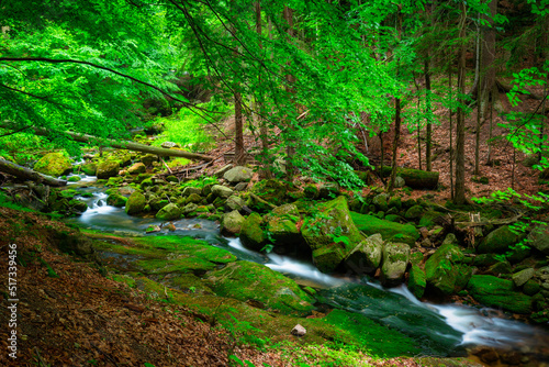 A beautiful mountain stream in the Karkonosze Mountains, Poland