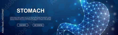 Stomach polygonal horizontal banner. Digestive system low poly symbol for head promotion banner. Organ anatomy design template illustration concept.