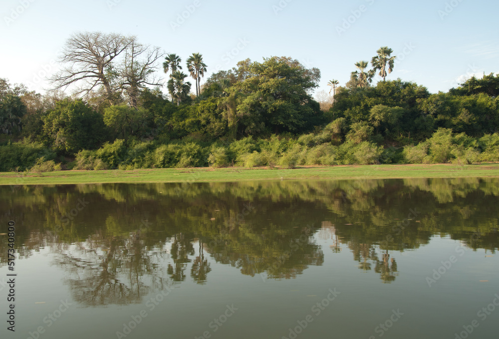 Gambia River in Niokolo Koba National Park. Tambacounda. Senegal.