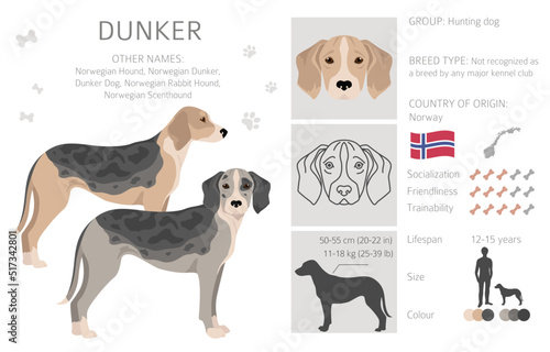 Dunker clipart. Different poses, coat colors set