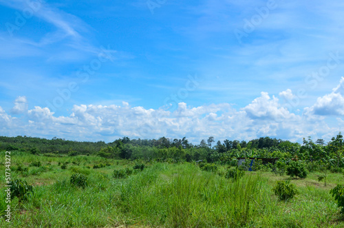 landscape with clouds