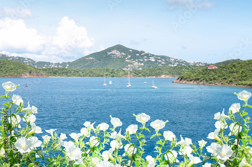 View at st. Thomas island, USVI photo