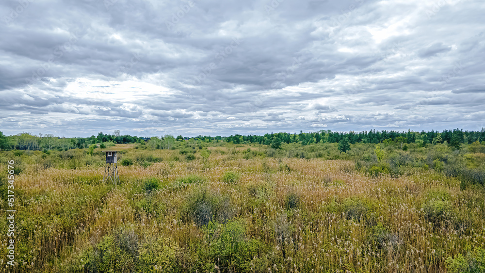 An Old Hunting Stand in a Natural Meadow