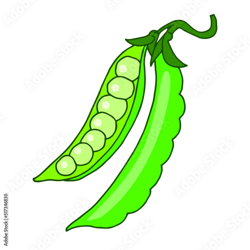 Green peas vector illustration isolated on white background.