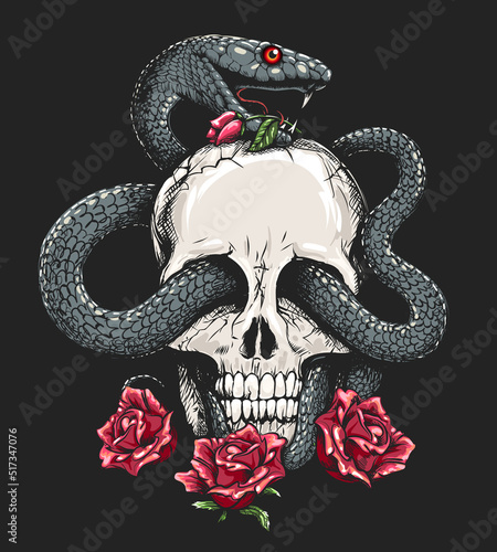 Human Skull with Snake and Roses