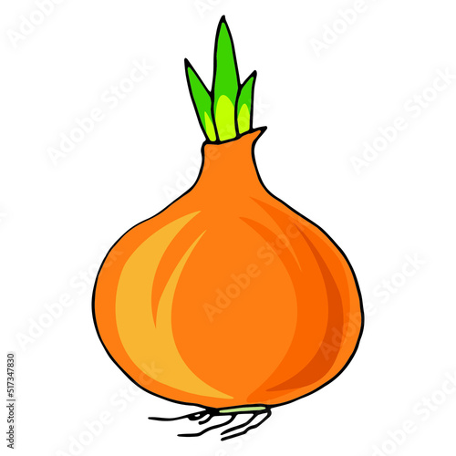 onion isolated on white background