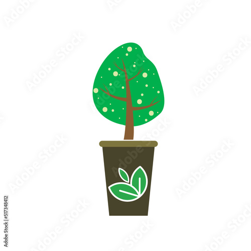 green plant in a pot