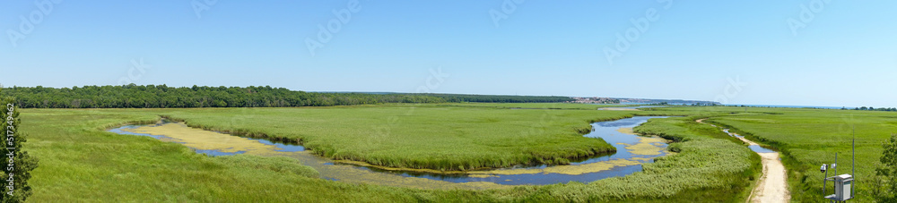 Igneada Floodplain Forests National Park.Mert lake located in Igneada district, Kirklareli city. Longoz forests, reeds and lake. Turkey's natural wonder places. Panoramic view.
