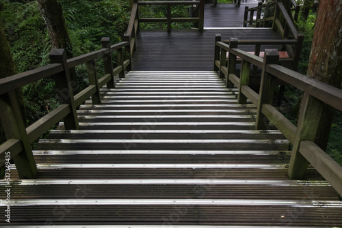 Fototapeta Naklejka Na Ścianę i Meble -  The walkway from wood in nature park taiwan