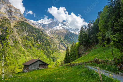view on swiss alps and spring meadow with wooden hut in Switzerland