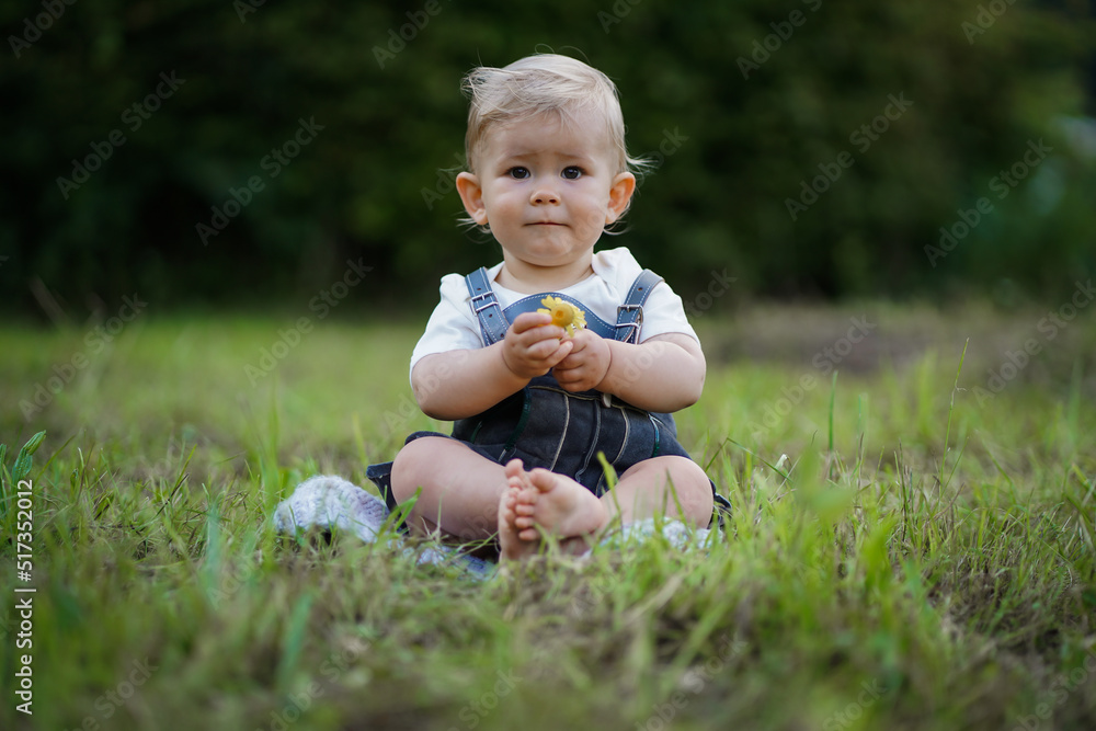 one year old blond german baby boy in bavarian dress with lederhose sitting outside on the meadow with a yellow flower to congratulate for birthday one year old blond german baby boy in bavarian dress with lederhose sitting outside on the meadow with a yellow flower to congratulate for birthday