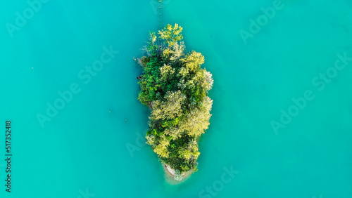 aerial view of small island and forest