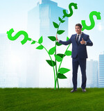 Money tree concept with businessman in growing profits