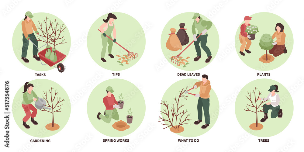 Gardening Compositions Set Gardening Compositions Set