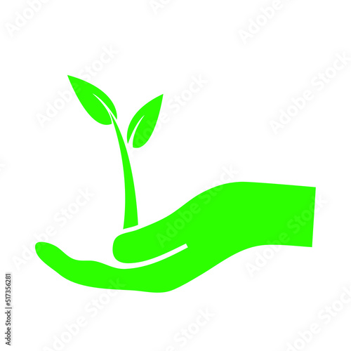 hand holding green plant