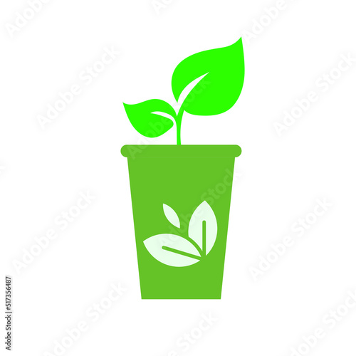 green plant in a pot