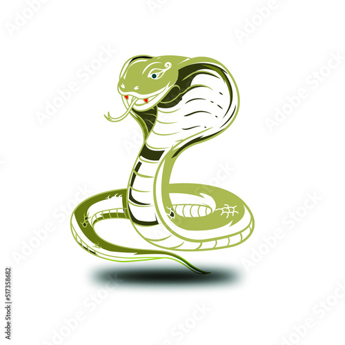 snake in the snake
