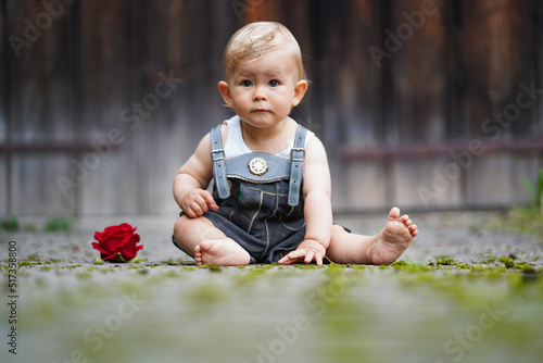 happy smiling one year old baby boy sitting or crawling in bavarian lether pants called Lederhosn outdoor on the floor with a red rose to congratulate for birthday
 photo