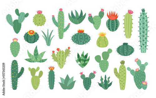 Cactus flowers set. Arizona icons of blossom desert cacti, cute mexican plants, prickly succulents and ficuses. Exotic greenery and houseplants. Vector isolated botanical illustration