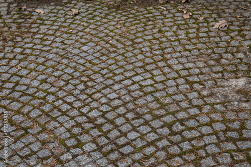 Stone paving block walk path in the park