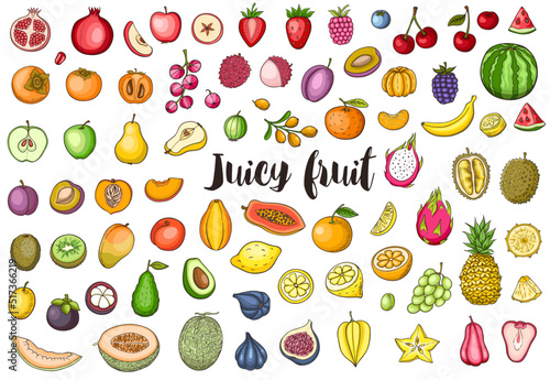 Set of hand drawn vector doodle fruit
