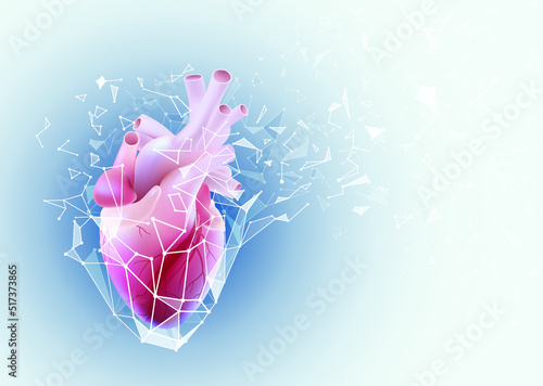 An illustration of a human heart in a realistic form with the image of a detached outer protective poly block. used in medical and public relations