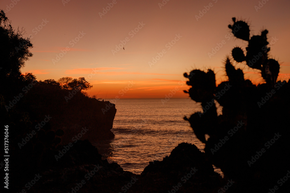 Sunset on the coast of Bali. Cacti in the foreground out of focus