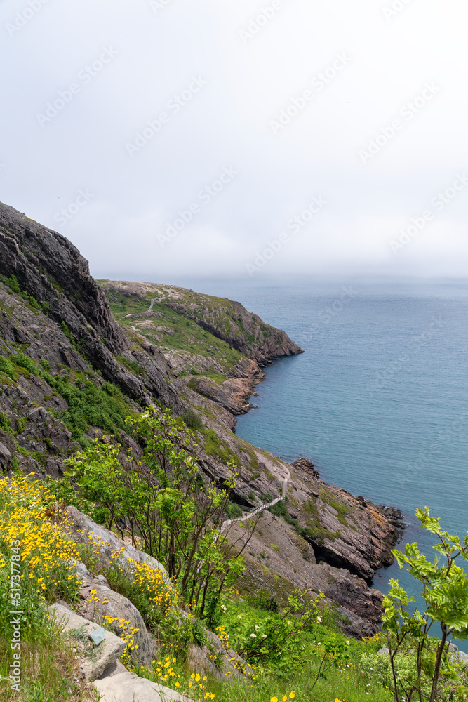 A section of the North Head Trail follows the rocky coastline of Newfoundland as seen from the Queen's Battery in St. John's.