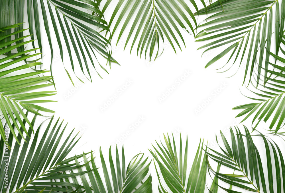 Tropical green palm leaves Tropical green palm leaves