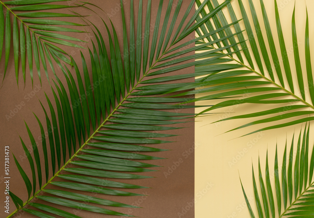 Fototapeta premium Tropical green palm leaves