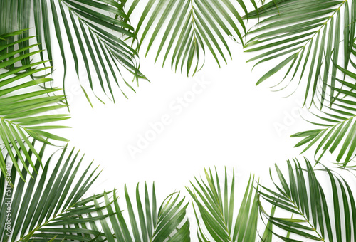 Tropical green palm leaves © 52Ps.Studio