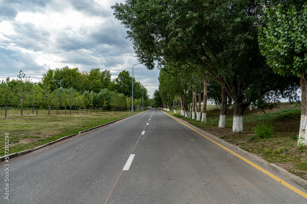 Fototapeta premium road in the countryside