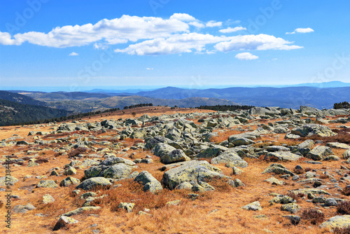 Rochers de granit parsemant la lande du Finiels au Mont Lozère.