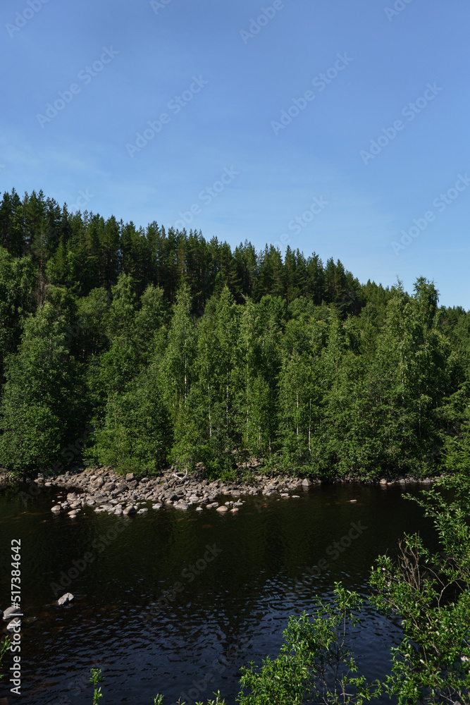 Blue lake and green mixed forest on a sunny summer day. Girvas paleovolcano is popular place among tourists. The concept of travel in Russia.