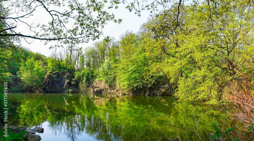 Ammelshain Quarry Nature Reserve. Idyllic small pond with rocks and green vegetation.
