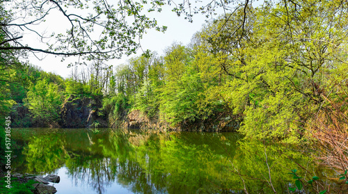 Ammelshain Quarry Nature Reserve. Idyllic small pond with rocks and green vegetation. 