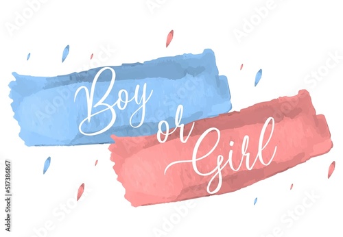 Boy or girl hand drawn modern lettering - Baby shower announcement banner, card - Gender reveal party - Vector illustration isolated