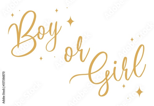 Boy or girl hand drawn modern lettering - Baby shower announcement banner, card - Gender reveal party - Vector illustration isolated
