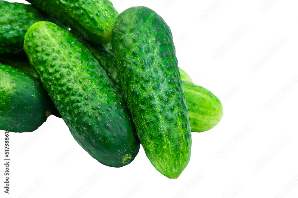green cucumbers on a white background. ripe gherkins on a table. fresh vegetables on a light texture. the concept of growing cucumbers green cucumbers on a white background. ripe gherkins on a table. fresh vegetables on a light texture. the concept of growing cucumbers