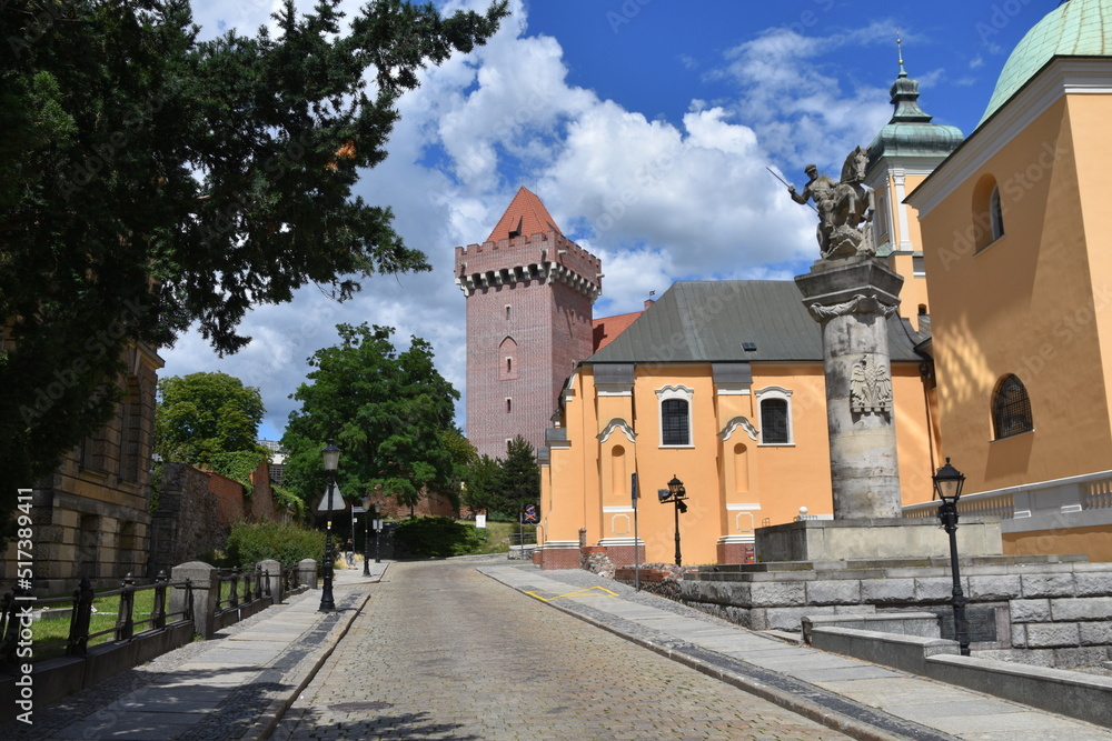 Zamek Królewski na Wzgórzu Przemysła w Poznaniu 