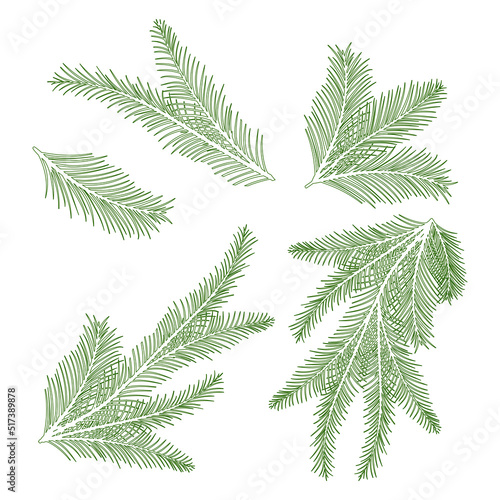 Spruce branch. Vector set. Contour.