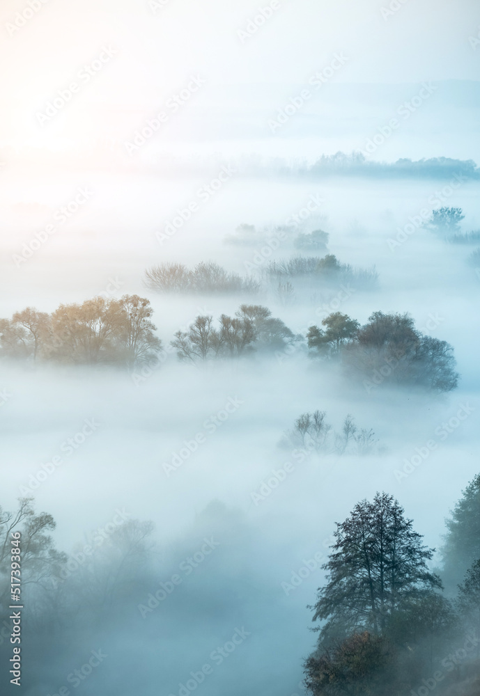 Fototapeta premium Atmospheric landscape covered with autumn mist