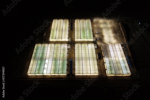 Aerial image of green houses illuminated at night