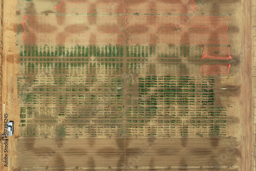 Aerial image of a soybean experimental area showing the irrigation pattern