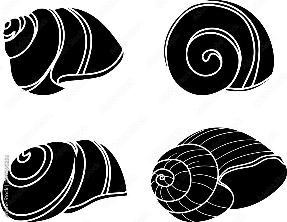 Set of black silhouettes of mollusc shell Set of black silhouettes of mollusc shell