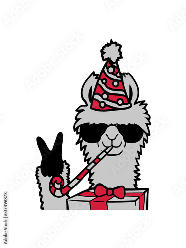 Geburtstag No Drama Llama 
